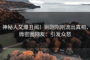 神秘人又爆丑闻！刚刚刚刚流出真相，微密圈网友：引发众怒