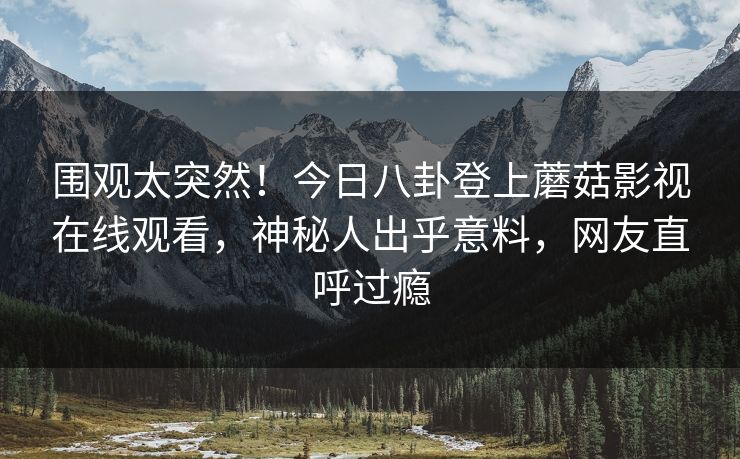 围观太突然！今日八卦登上蘑菇影视在线观看，神秘人出乎意料，网友直呼过瘾