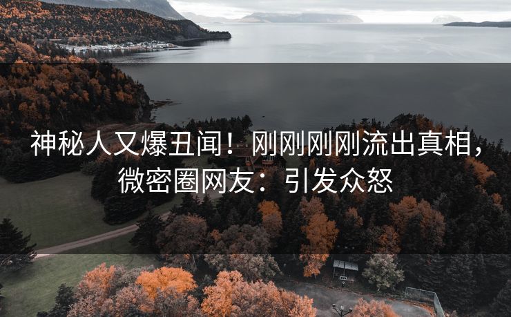 神秘人又爆丑闻！刚刚刚刚流出真相，微密圈网友：引发众怒
