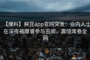 【爆料】麻豆app官网突发：业内人士在深夜被曝曾参与丑闻，震惊席卷全网