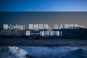 糖心vlog：震撼现场，让人泪目的一幕——懂得都懂！