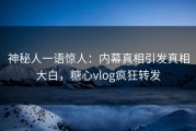 神秘人一语惊人：内幕真相引发真相大白，糖心vlog疯狂转发