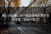 糖心vlog糖心饼干姐姐惊呆合集年度热度榜，网友炸锅了！