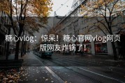 糖心vlog：惊呆！糖心官网vlog网页版网友炸锅了！