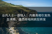 业内人士一语惊人：内幕真相引发热血沸腾，墨西哥暗网疯狂转发