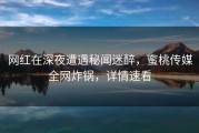 网红在深夜遭遇秘闻迷醉，蜜桃传媒全网炸锅，详情速看
