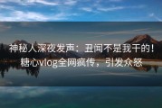 神秘人深夜发声：丑闻不是我干的！糖心vlog全网疯传，引发众怒