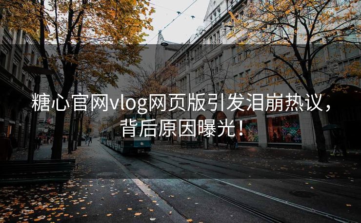 糖心官网vlog网页版引发泪崩热议，背后原因曝光！