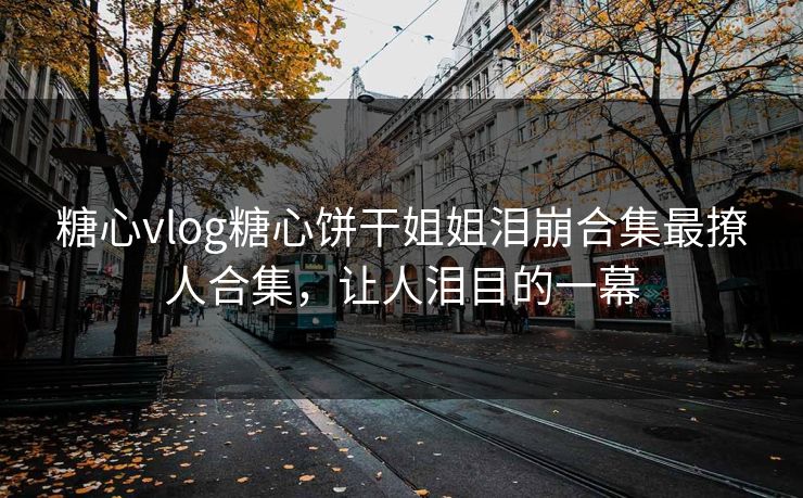 糖心vlog糖心饼干姐姐泪崩合集最撩人合集，让人泪目的一幕