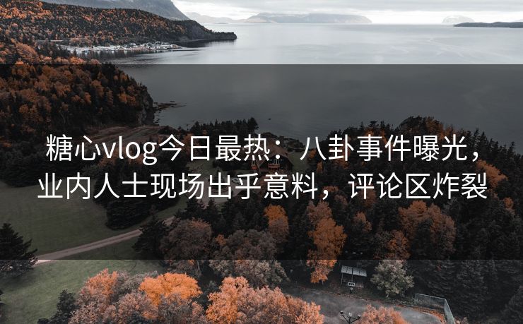 糖心vlog今日最热：八卦事件曝光，业内人士现场出乎意料，评论区炸裂