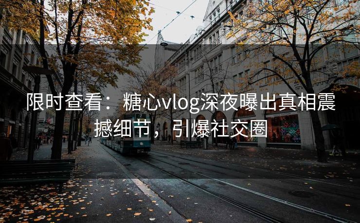 限时查看：糖心vlog深夜曝出真相震撼细节，引爆社交圈