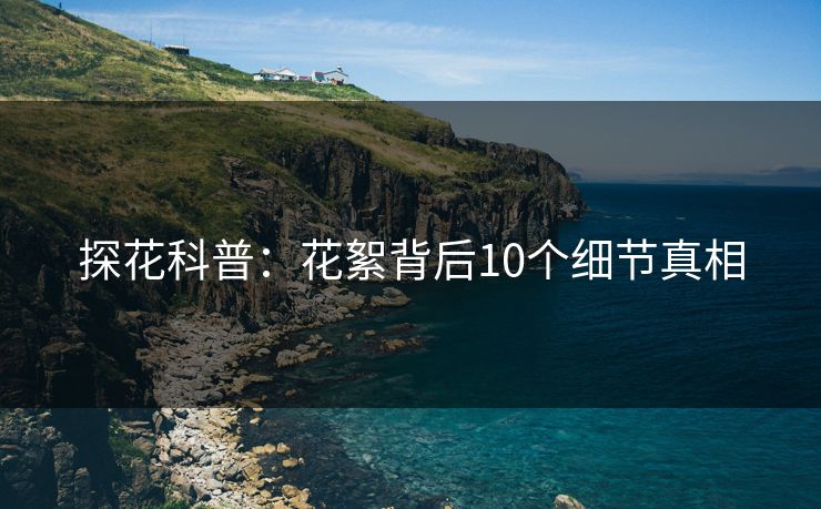 探花科普：花絮背后10个细节真相