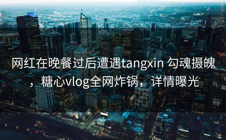 网红在晚餐过后遭遇tangxin 勾魂摄魄,糖心vlog全网炸锅,详情曝光 网红在晚餐过后遭遇tangxin 勾魂摄魄,糖心vlog全网炸锅,详情曝光