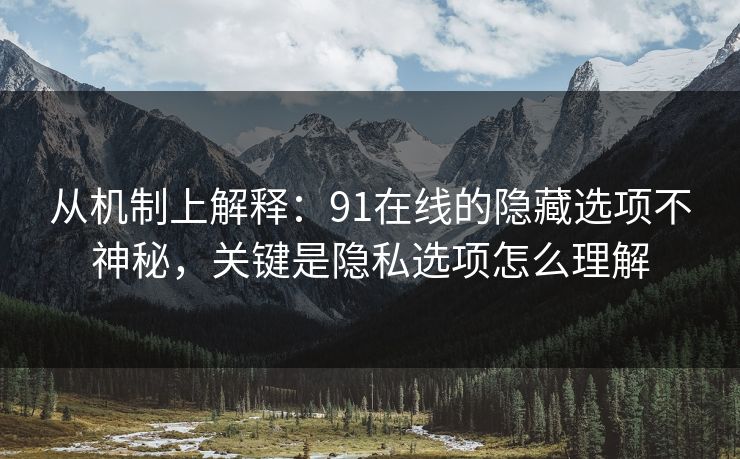 从机制上解释：91在线的隐藏选项不神秘，关键是隐私选项怎么理解
